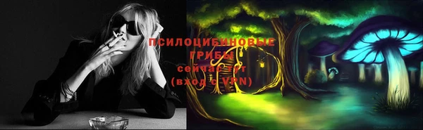 бошки Абаза