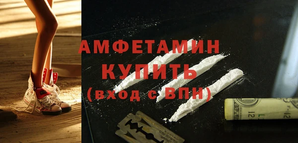 шишки Ладушкин